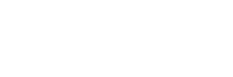 Asset V Logo